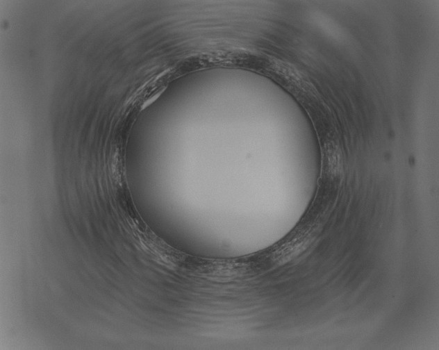 X0000073481060200608211619