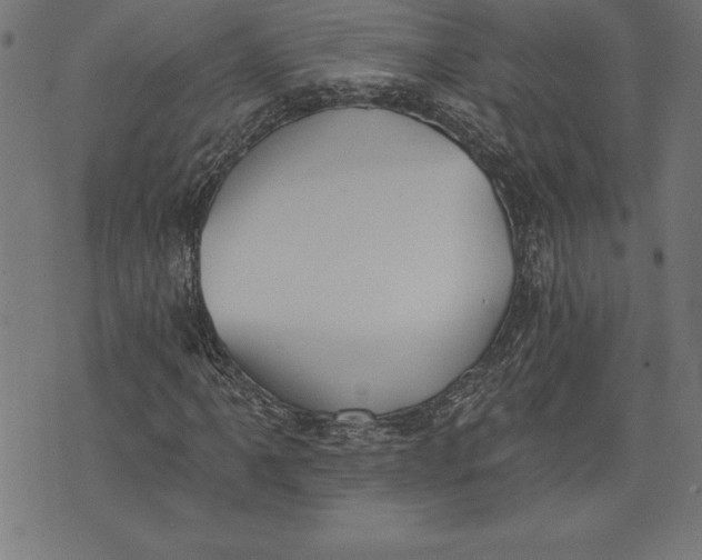 X0000073481061200608211619