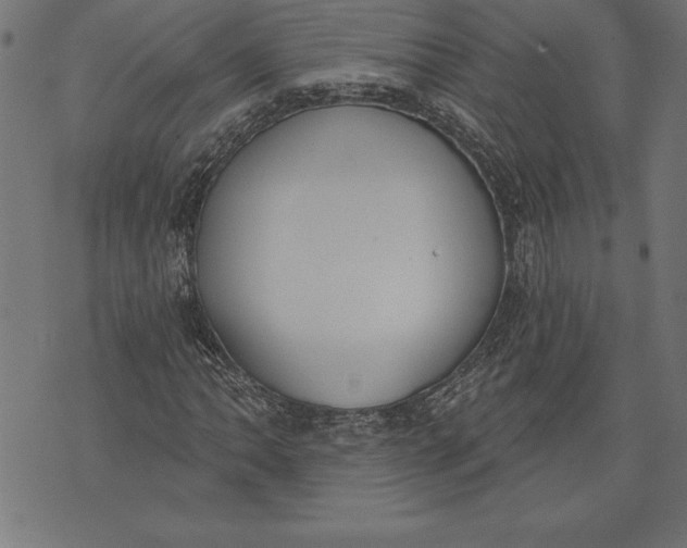 X0000073481062200608211619