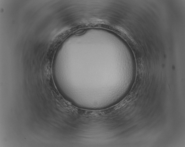 X0000073481063200608211619