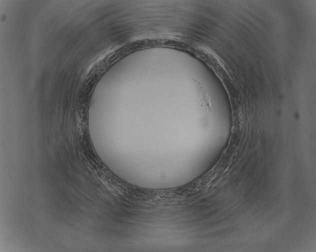 X0000073481064200608211619