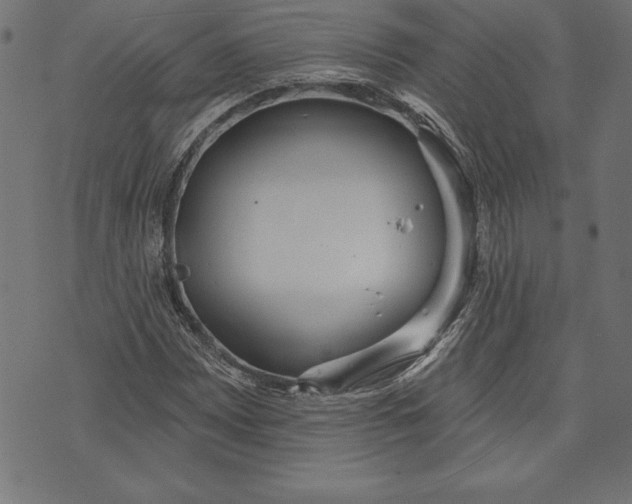 X0000073481065200608211619