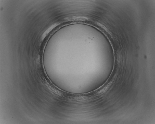 X0000073481066200608211619