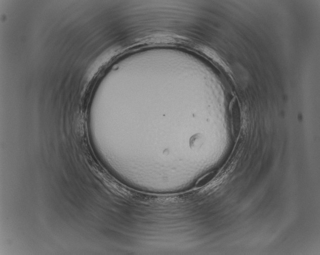 X0000073481067200608211619