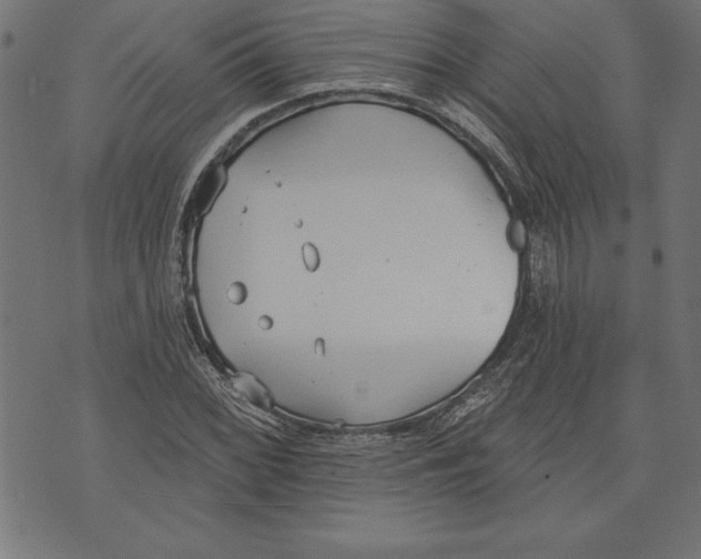 X0000073481068200608211619