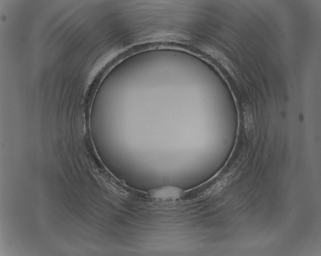 X0000073481069200608211619