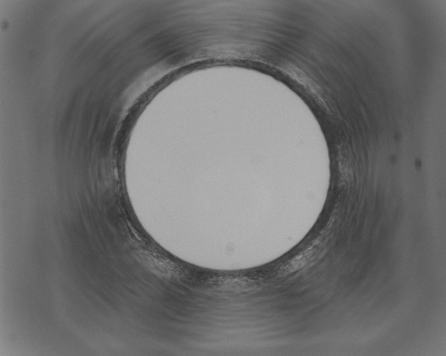 X0000073481070200608211619