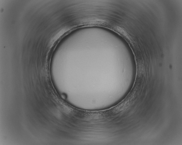 X0000073481071200608211619