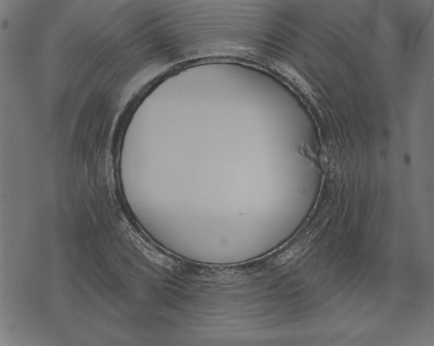 X0000073481072200608211619