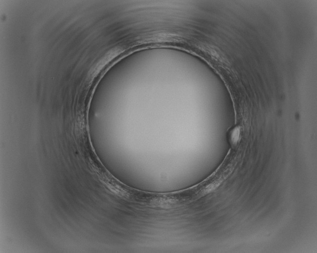 X0000073481073200608211619