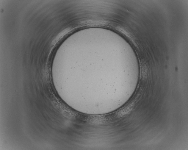 X0000073481074200608211619