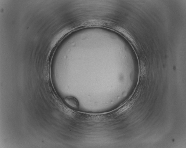 X0000073481075200608211619