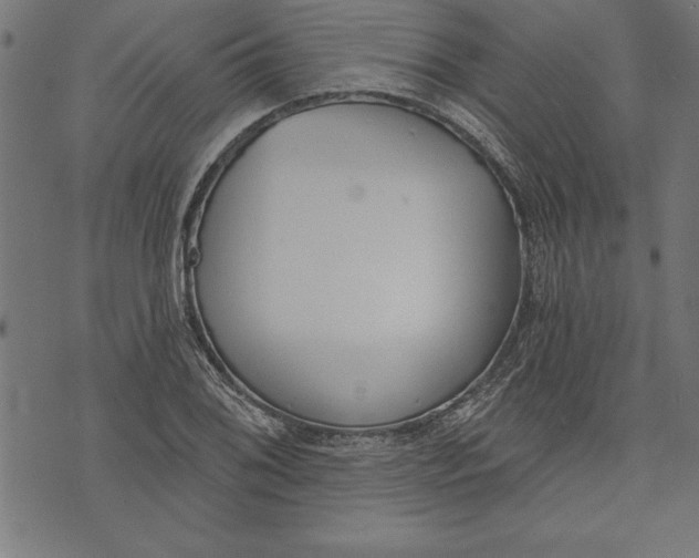 X0000073481076200608211619