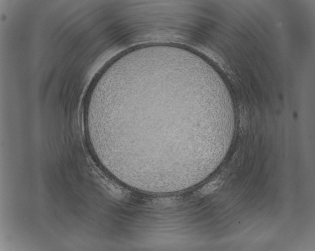 X0000073481078200608211619