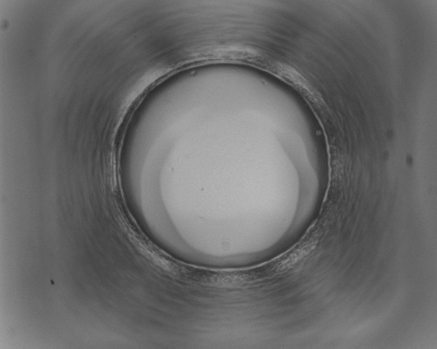 X0000073481079200608211619