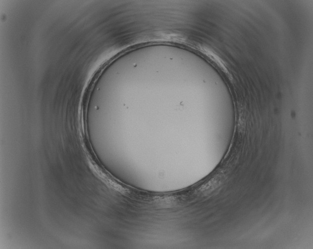 X0000073481080200608211619