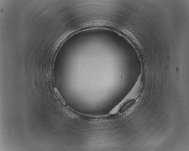 X0000073481081200608211619