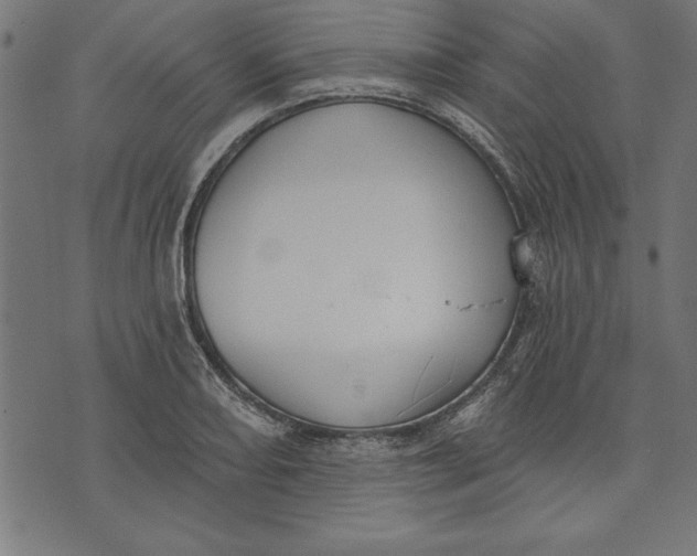 X0000073481082200608211619