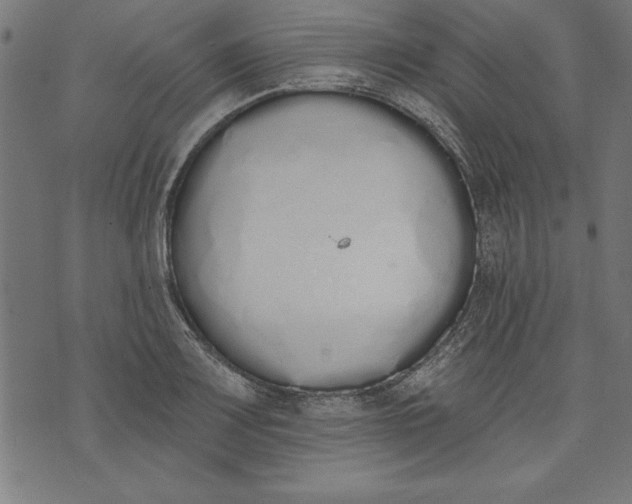 X0000073481083200608211619