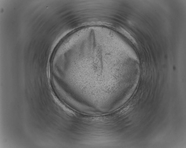 X0000073481084200608211619