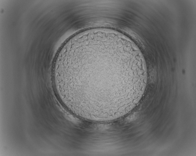 X0000073481086200608211619