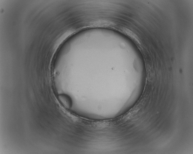 X0000073481087200608211619