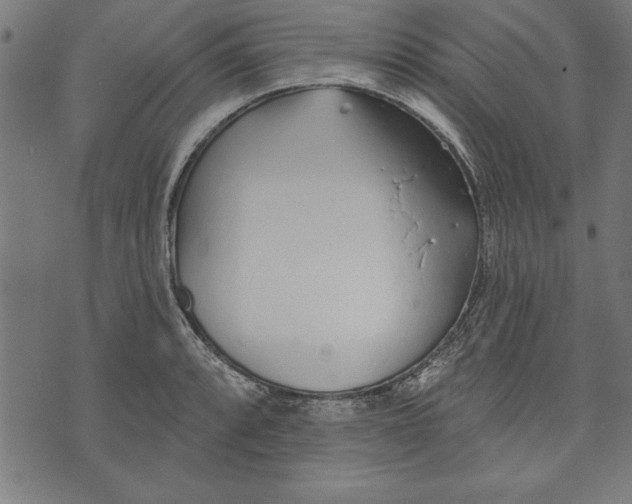 X0000073481088200608211619