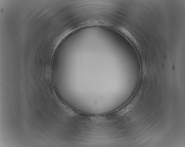 X0000073481089200608211619