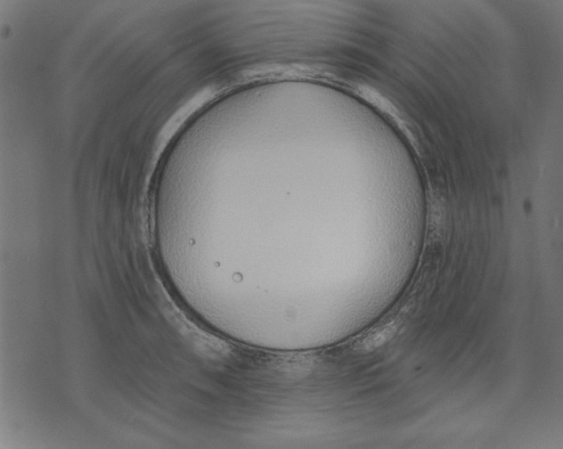 X0000073481090200608211619