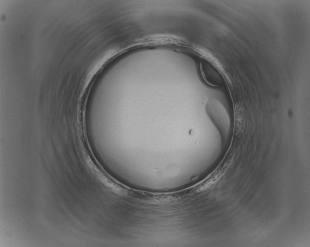 X0000073481091200608211619