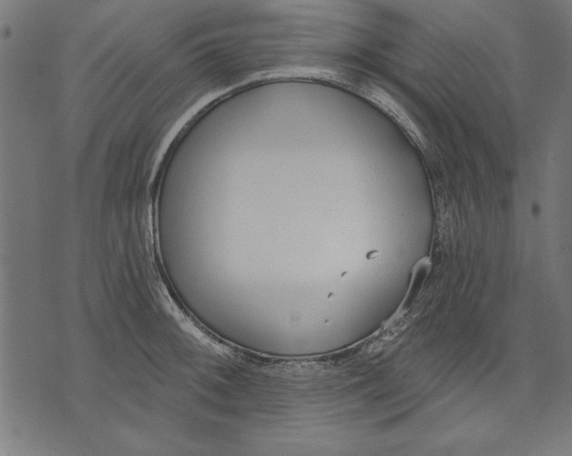 X0000073481092200608211619