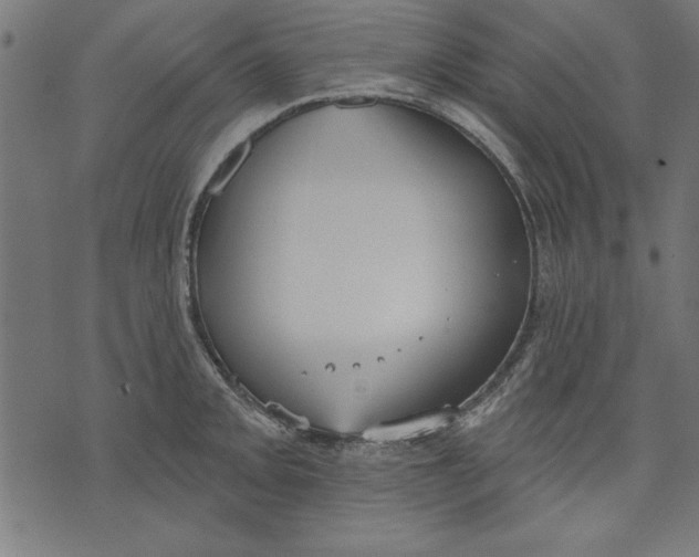 X0000073481093200608211619