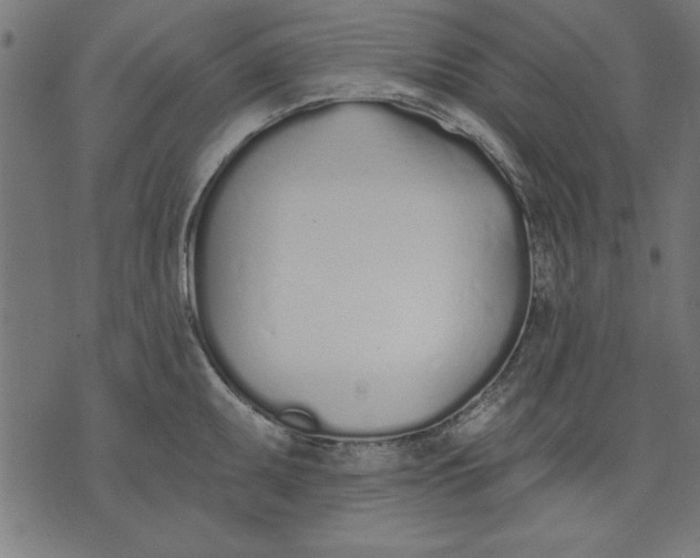 X0000073481095200608211619