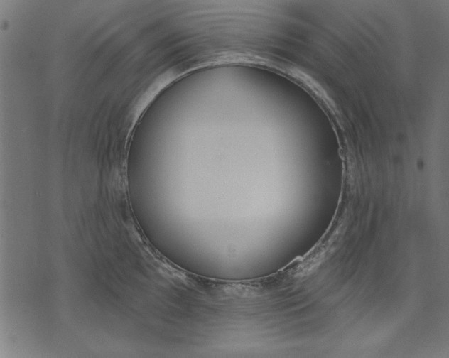 X0000073481097200608211619