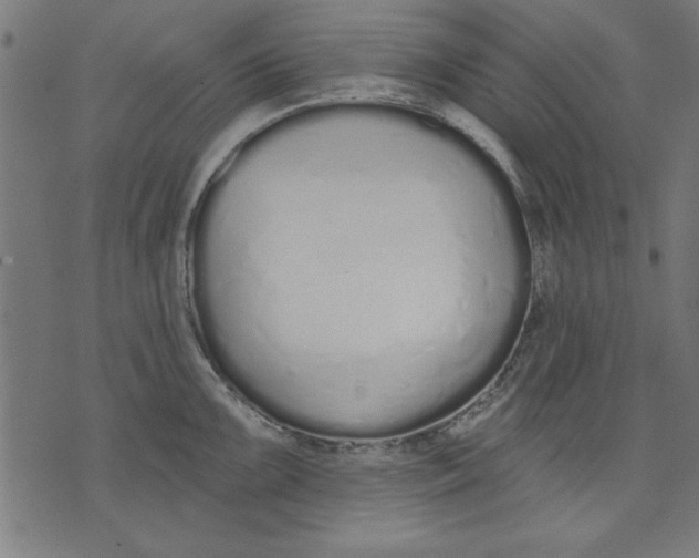 X0000073481099200608211618