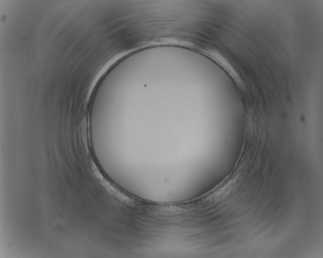 X0000073481100200608211618