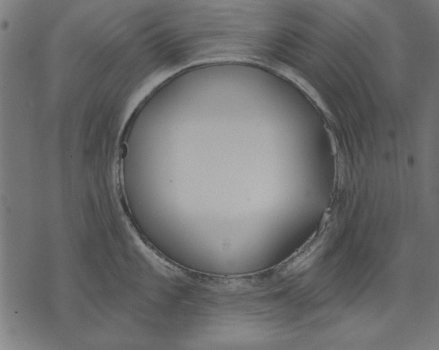 X0000073481101200608211618