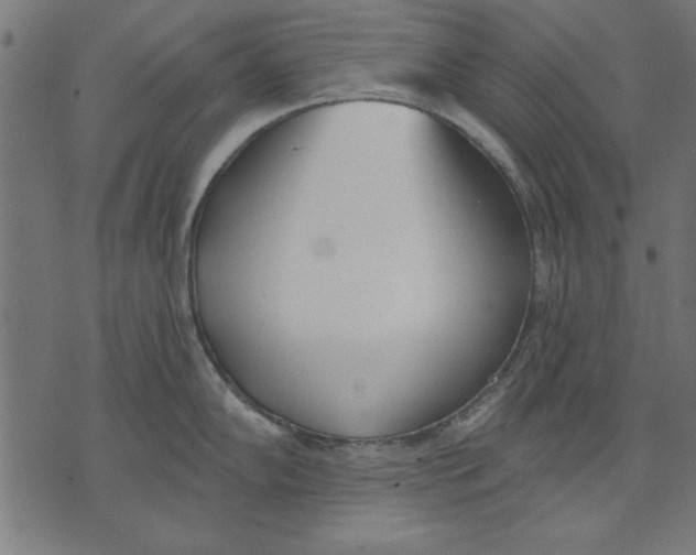 X0000073481102200608211618