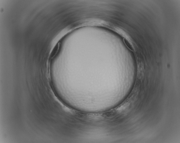 X0000073481103200608211618