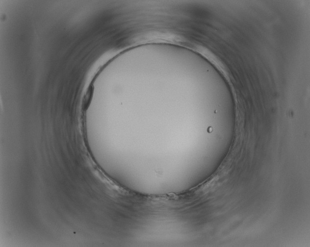 X0000073481104200608211618