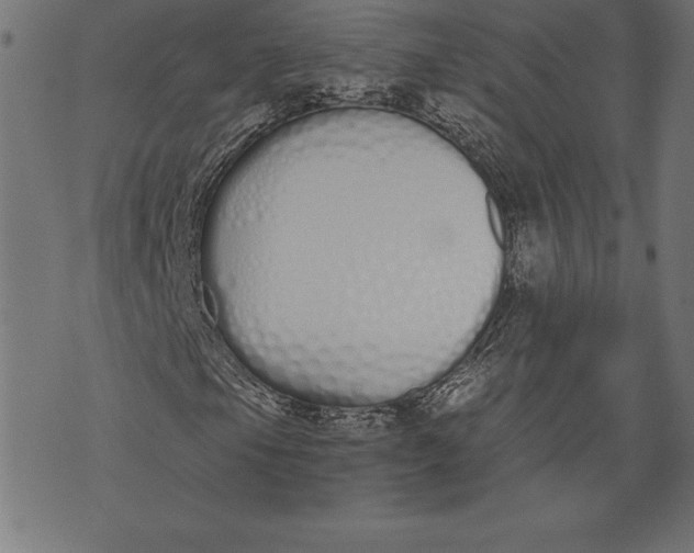 X0000073481105200608211618