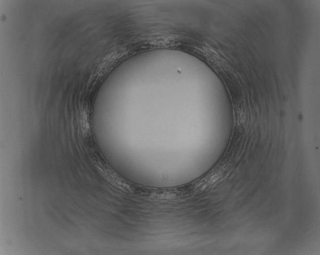 X0000073481106200608211618