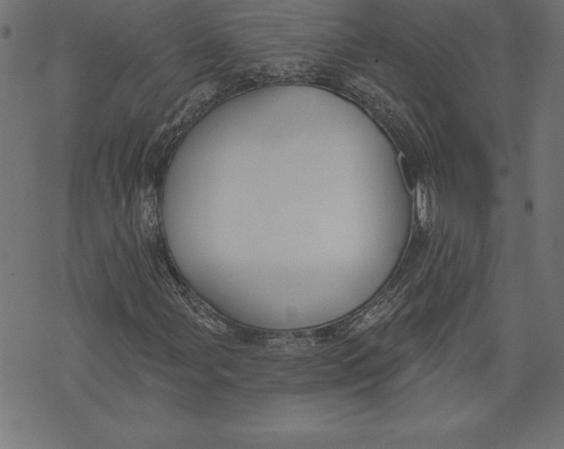 X0000073481107200608211618