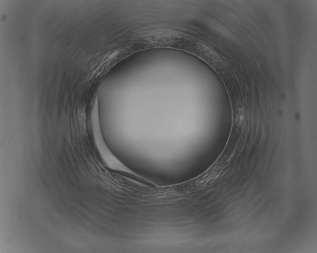 X0000073481108200608211618