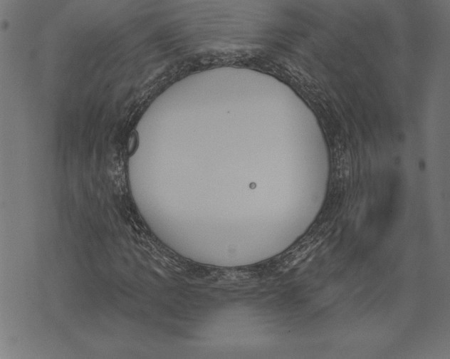 X0000073481109200608211618