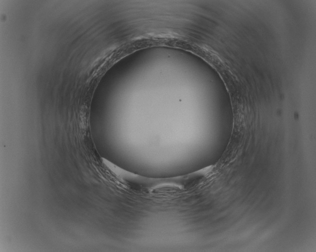 X0000073481110200608211618