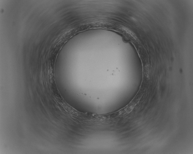 X0000073481111200608211618