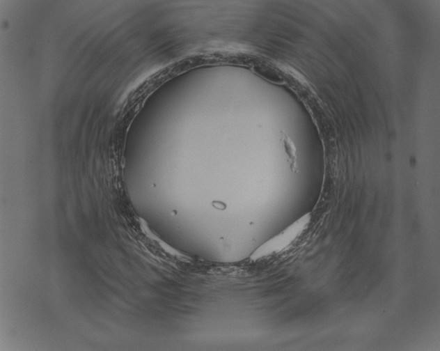 X0000073481112200608211618