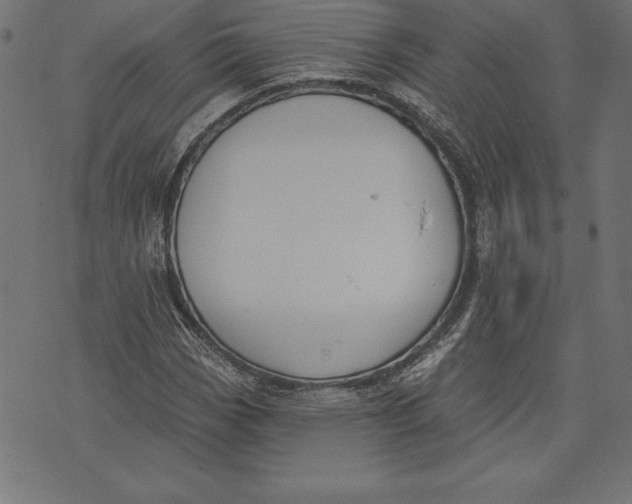 X0000073481113200608211618