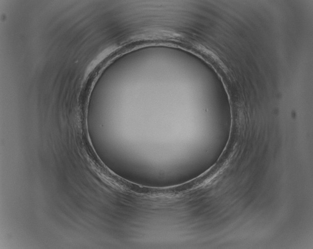 X0000073481114200608211618